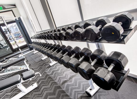 24-Hour Fitness Studio