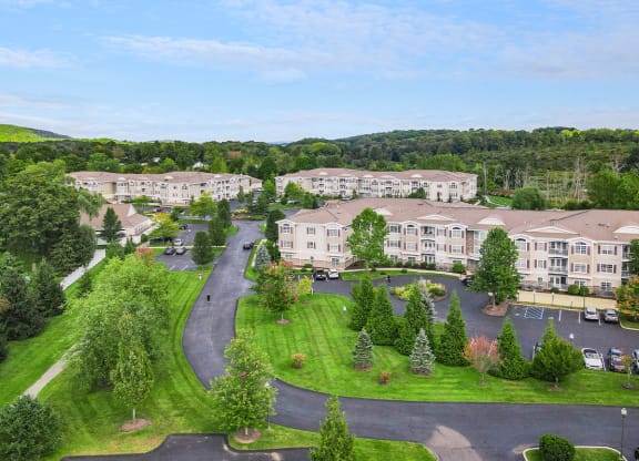 Vineyard Commons