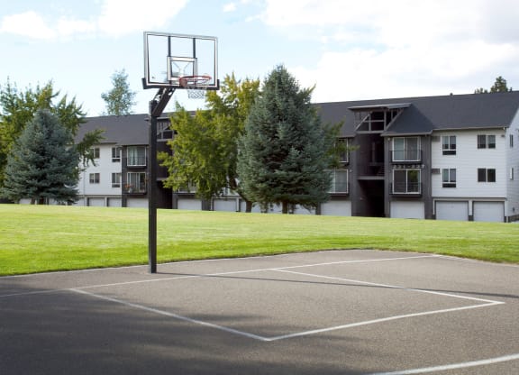 Whimsical Pig Apartments Basketball Court