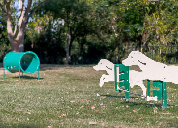 Community Leash-free Dog Park