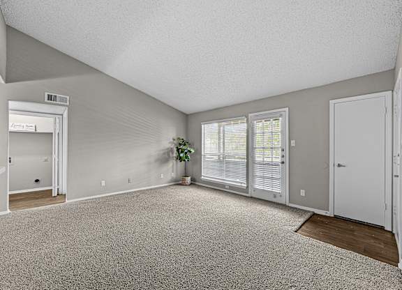 A room with a carpeted floor and a plant in a pot.