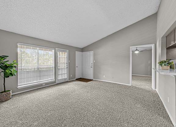 A room with a carpeted floor and a potted plant on the left.