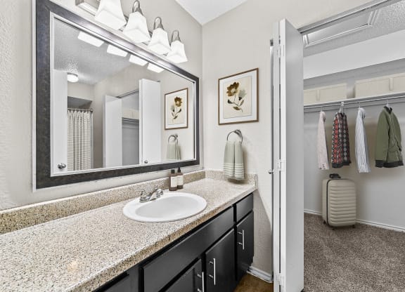 a bathroom with a large mirror and a sink