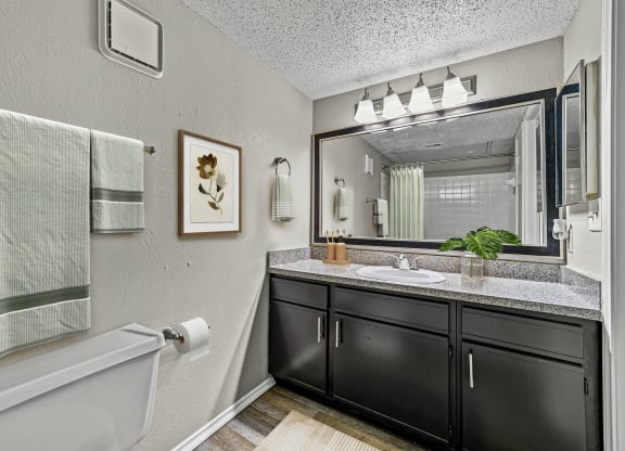 a bathroom with a sink and a mirror and a tub at Legacy Apartments in Plano, TX