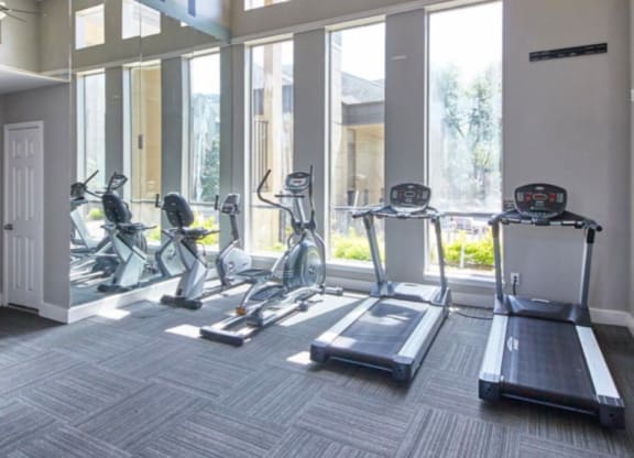 the estates at tanglewood|fitness room