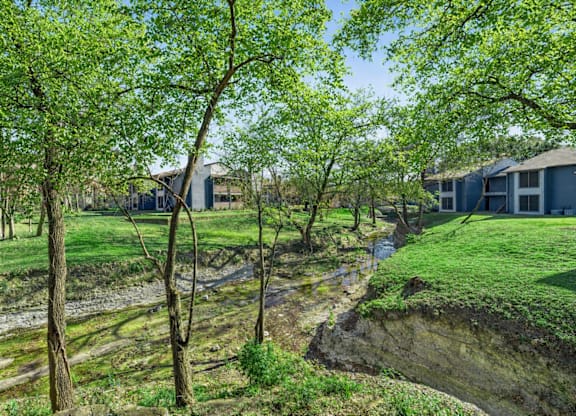 A green landscape with trees and a small stream running through it.