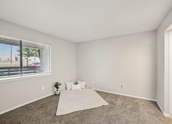 A room with a carpet, a rug, and a window with blinds.