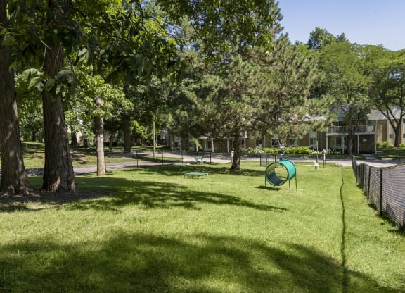 a park with a green playground and trees