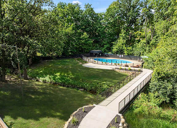 A pool surrounded by a green forest