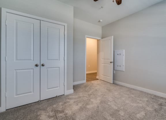 Bedroom with Closet Space (Luxury Floor Plan) at Emerald Creek Apartments, Greenville