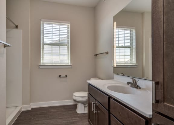 Bathroom (Prestige Floor Plan) at Emerald Creek Apartments, Greenville