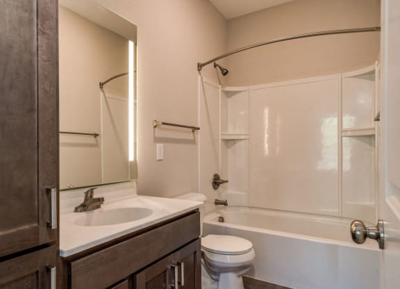 Bathroom (Premier Floor Plan) at Emerald Creek Apartments, Greenville
