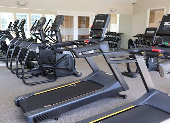 A row of treadmills and elliptical machines in a gym.