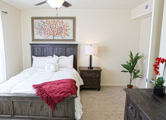 Cozy Bedrooms with Carpeting at Andover Pointe Apartment Homes, Nebraska