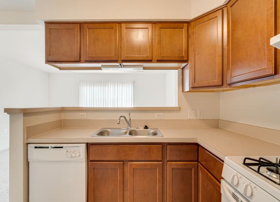 Aster Layout Kitchen Dishwasher at The Harbours Apartments, Michigan 48038