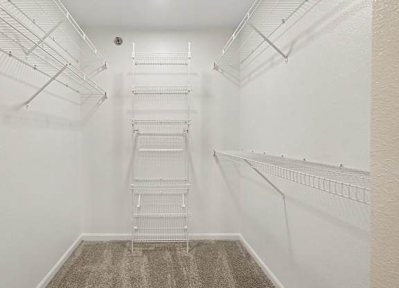 A white walk-in closet with a carpeted floor and shelving.