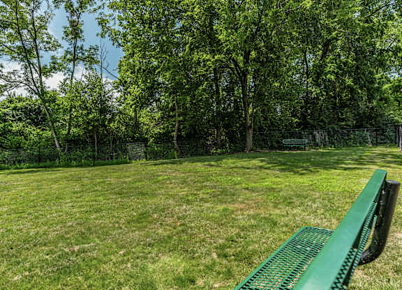 A green bench sits in a grassy field with trees in the background