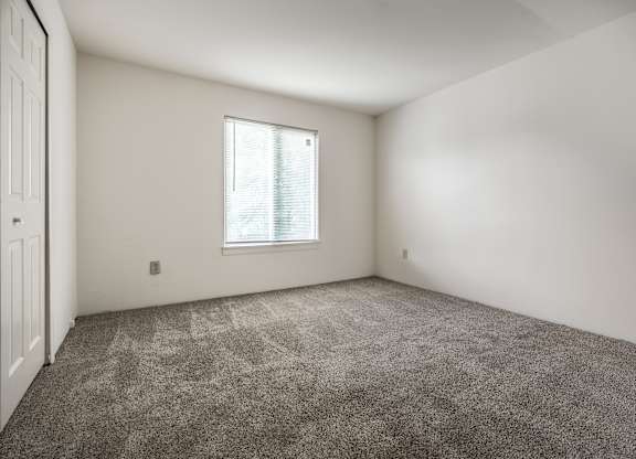 A room with a carpeted floor and a window