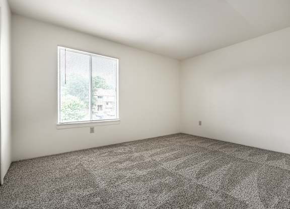 A room with a carpeted floor and a window