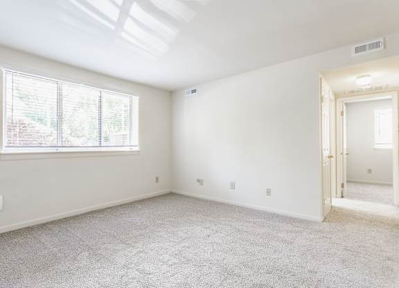 A room with a carpeted floor and a window letting in natural light