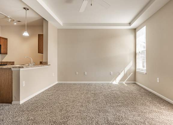 A spacious room with a kitchen area and a carpeted floor