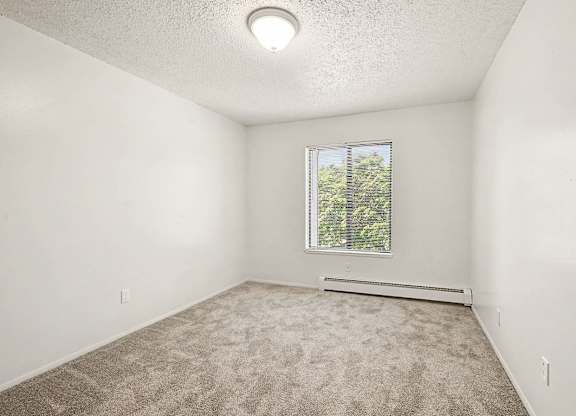 A room with a window and a carpeted floor.