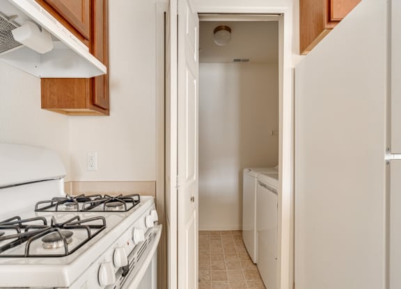 Buttercup Layout Kitchen Model at The Harbours Apartments, Michigan