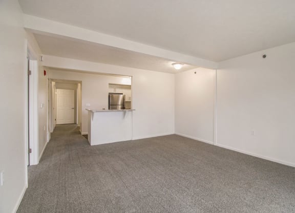 spacious living room with plush carpeting at Canal 2 Apartments, Lansing, Michigan