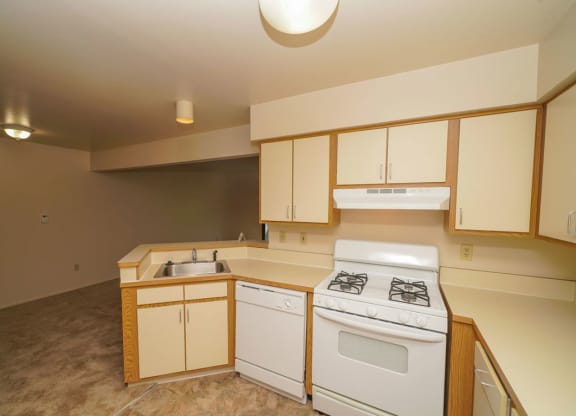 Kitchen with Dishwasher and Gas Range at Canal Club Apartments in Lansing, MI