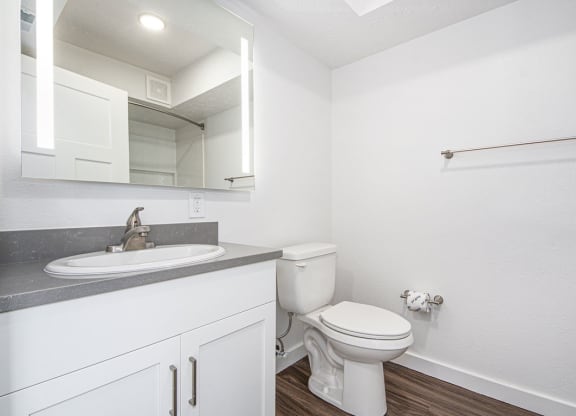 Master Bath at The Crossings Apartments, Grand Rapids, Michigan