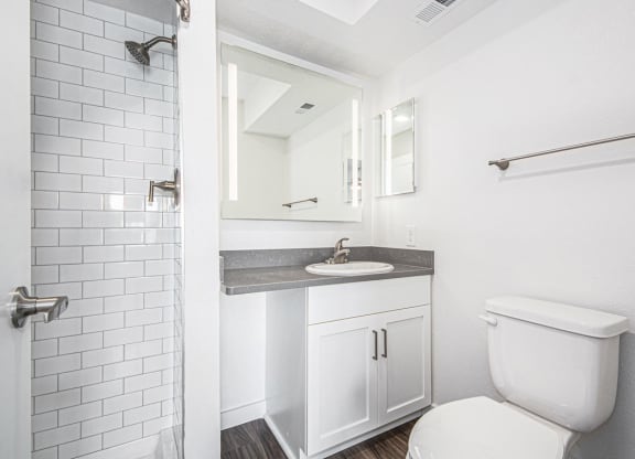 Second Bath with Walk-In Shower at The Crossings Apartments, Grand Rapids, Michigan
