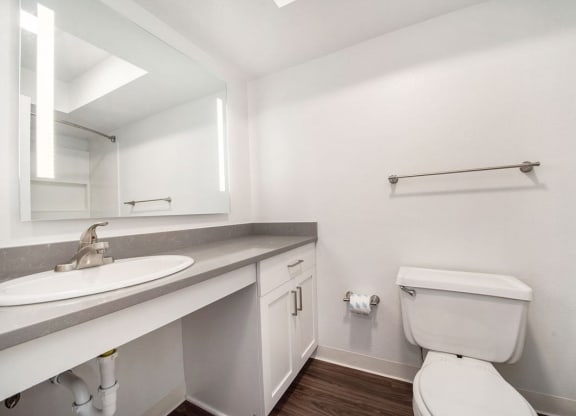Renovated Bathroom at The Crossings Apartments, Grand Rapids, Michigan