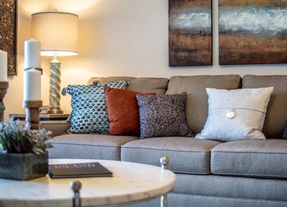 Living Room Furniture at Killian Lakes Apartments and Townhomes, Columbia, SC
