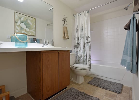 Bathroom at Windemere Apartments, Farmington Hills, Michigan