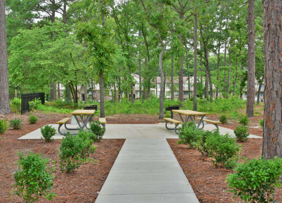 BBQ/Picnic Area at Lake in the Pines, North Carolina