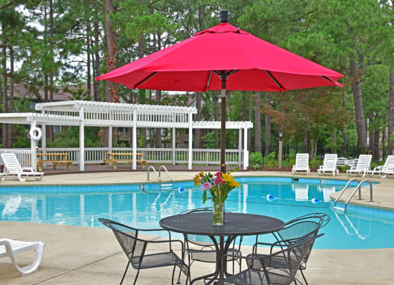 Sparkling Swimming Pool & Sundeck