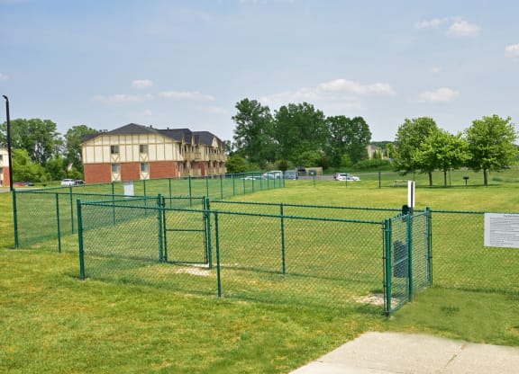 Let your Furry Friend run off-leash