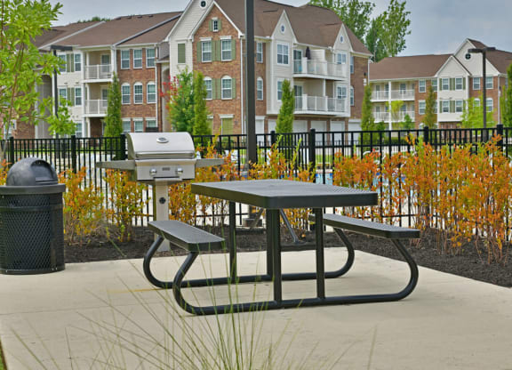 Grill and Picnic Area at Irene Woods Apartments, Collierville, 38017