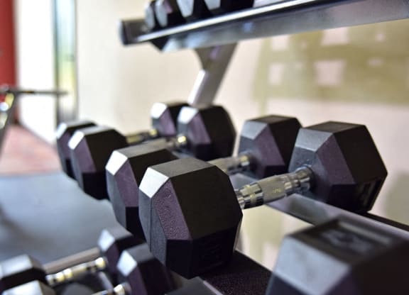 Free Weights at Fitness Center at Irene Woods Apartments, Tennessee, 38017