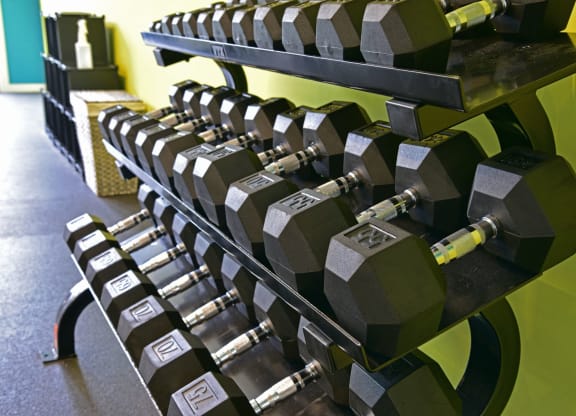 Free Weights In Gym at Badger Canyon, Kennewick, WA