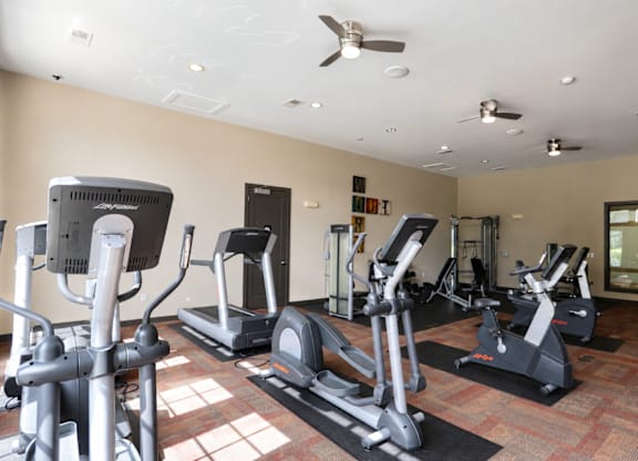 A gym with treadmills, elliptical machines, and a fan.