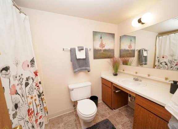 Updated Bathrooms at Emerald Park Apartments, Kalamazoo, 49001