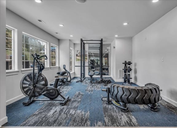 the gym at The Vinings Apartments in Richmond, VA