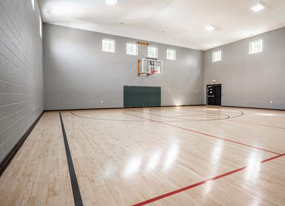 A basketball court with a green box and a basketball hoop.