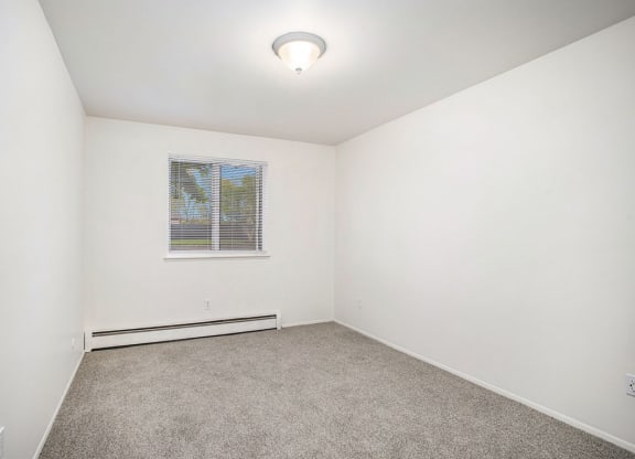 spacious bedroom with carpet and a window at Fairlane Apartments in Springfield, MI