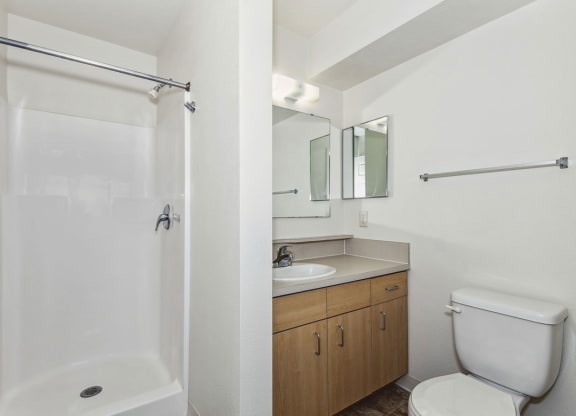 Second bathroom with a walk-in shower  at Fieldstream Apartment Homes, Ankeny