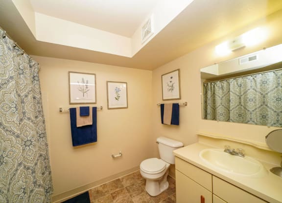 a bathroom with a sink toilet and a shower at Glenn Valley Apartments, Battle Creek, MI