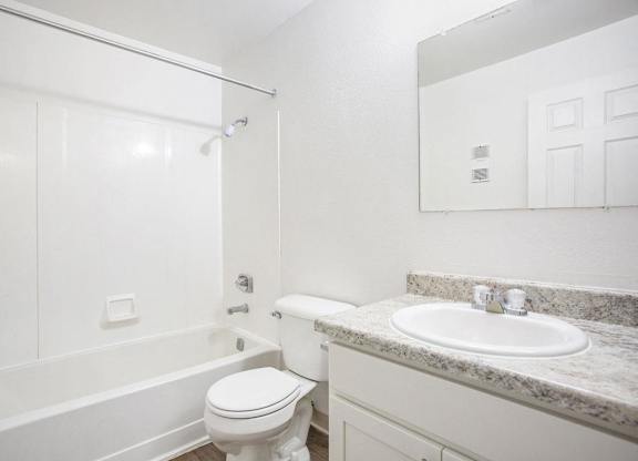 an upgraded bathroom with a sink toilet and a bath tub at Hampton Lakes Apartments, Michigan, 49534