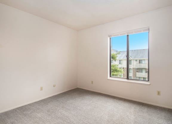 a bedroom with a large window and a carpeted floor at Hickory Village Apartments, Mishawaka, IN