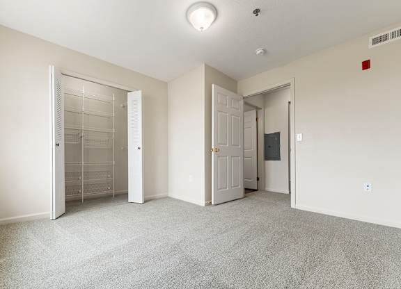 A bedroom with a carpeted floor and a walk-in closet with organizers at Hunters Pond Apartment Homes, Champaign, IL, 61820